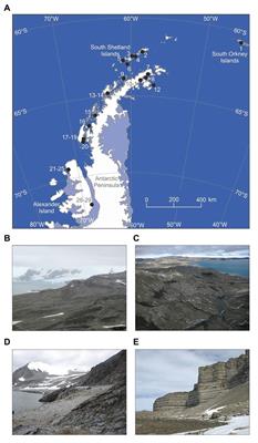 Regional Diversity of Maritime Antarctic Soil Fungi and Predicted Responses of Guilds and Growth Forms to Climate Change